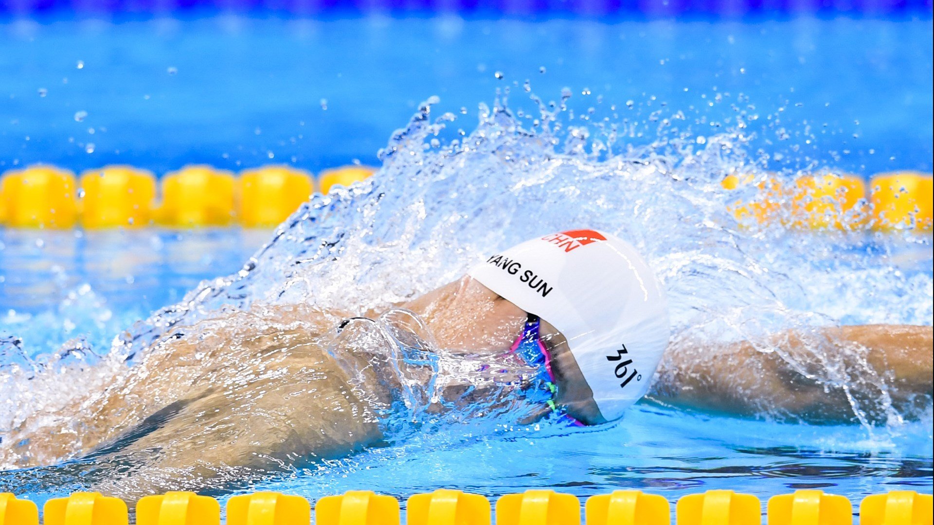 “冠军车手的秘密:训练、技艺与激情”,冠军车辆